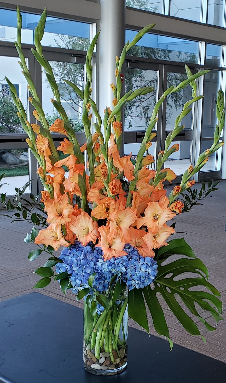 Gladiolus Gatherings